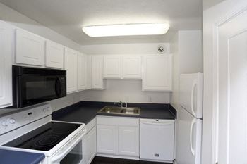 Dishwasher available in most homes